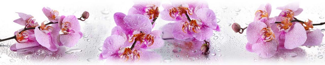 skinali 0127